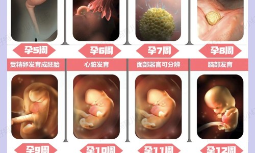怀孕身上起褐色点点-怀孕了身上一直流褐色分泌物网 :分享怀孕期间出现褐色分泌物正常吗-怀孕了身上老是流暗红色的血知识